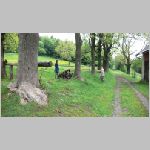 p1010242 [800x600].jpg